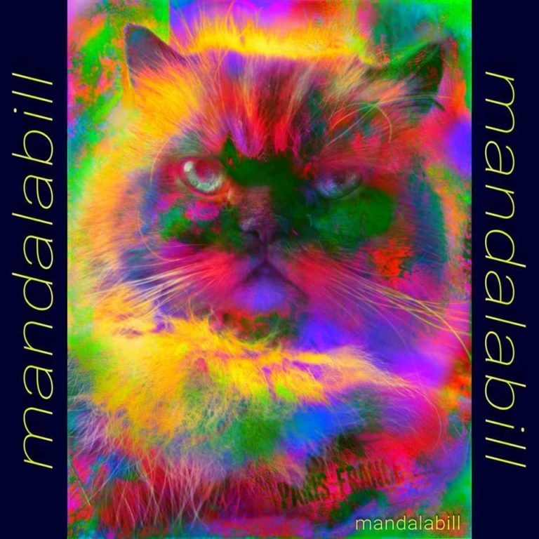 William Belan, $$$ Kitty