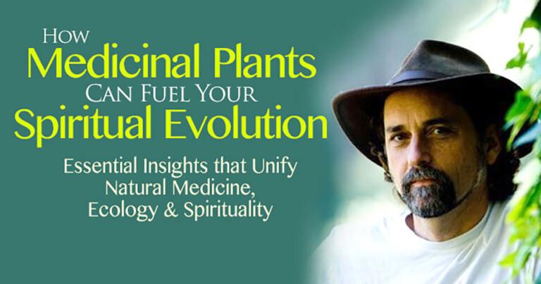 Medicinal Plants & Spiritual Evolution with David Crow