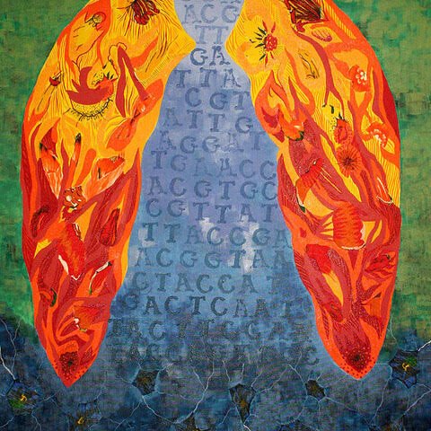 DNA Angel - Series Chita