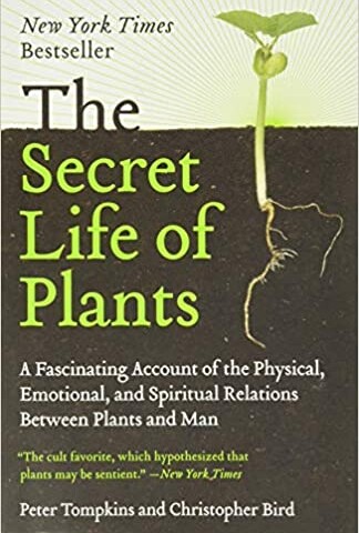 Secret Life of Plants
