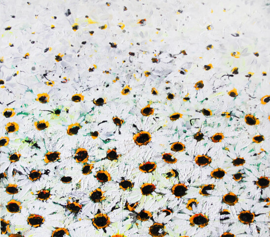 Lolita Bronzini, Daisies